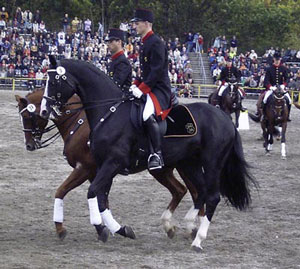 Hengstparade 2004